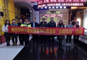 柳州市中小<em>企</em>业服务中心党支部开展“观看献礼<em>电</em>影 牢记初心使命”主题党日活动