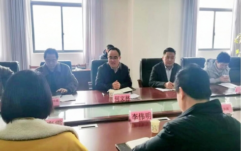 市委常委、副市长<em>何</em><em>文</em>林带队开展企业服务年活动