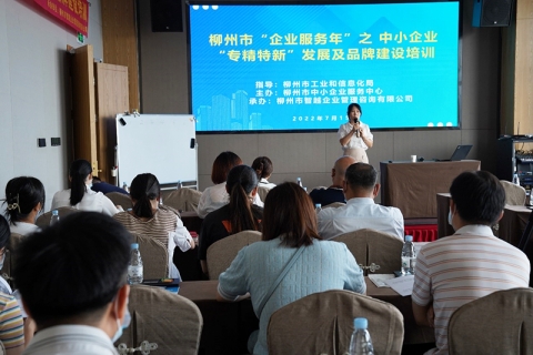 柳州市“企业服务年”——中小企业“专精<em>特</em>新”发展及品牌建设培训成功举办