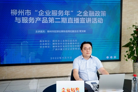 搭平台 宣政策，为企业纾困解难---“企业服务<em>年</em>”之金融政策与服务产品第二期线上直播顺利举行