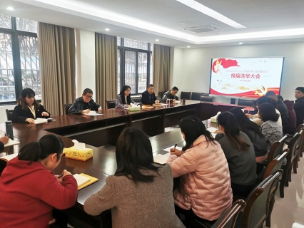 柳州市中小企业服务中心党支部换届选举大会胜利召开