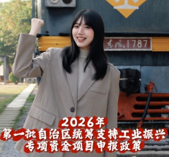 2026年第一批自治区统筹支持工业振兴专项资金项目申报政策