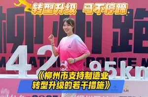 《柳州市支持制造业转型升级的若干措施》
