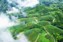 布央旅游创业孵化基地