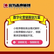 数字化营销策划方案