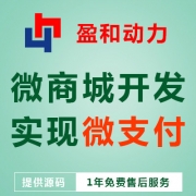 微商城定制开发 十五年开发经验 实现微支付功能