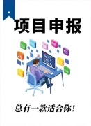 项目申报与验收技术咨询服务